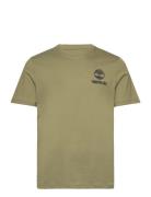 Short Sleeve Back Logo Graphic Tee Sphagnum Timberland Green