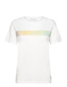 T-Shirt With Gradient Stripe - Mid Coster Copenhagen White