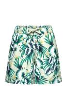 Borg Print Swim Shorts Björn Borg Green