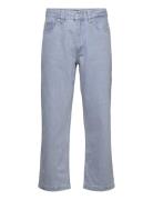 Classic Label Jean Santa Cruz Blue