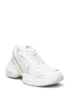 Satellite Sneaker Steve Madden White