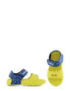 Pokemon Sandal Leomil Yellow