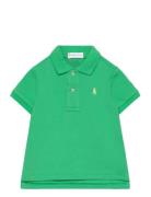 Cotton Mesh Polo Shirt Ralph Lauren Baby Green