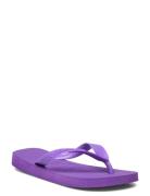 Hav. Top Havaianas Purple