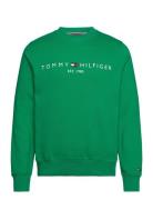 Tommy Logo Sweatshirt Tommy Hilfiger Green