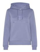 Tonal Archive Shield Hoodie GANT Blue