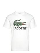 Tee-Shirt&Turtle Neck Lacoste White