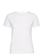 Women's O-Neck Tee NORVIG White