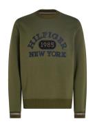 Monotype Collegiate Crewneck Tommy Hilfiger Khaki