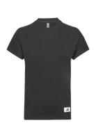 T-Shirt Adidas Sportswear Black