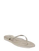 Tapered Burgundy Flip Flop SLEEPERS Silver