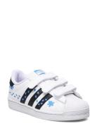 Superstar Cf C Adidas Originals White