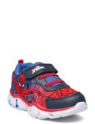 Spiderman Sneakers Leomil Patterned