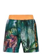 Swimming Shorts Sun City Jurassic Park Patterned