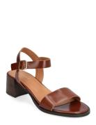 225-Alchimie Cuir Jonak Paris Brown