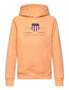 Archive Shield Hoodie GANT 