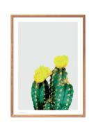 Opuntia Cactus Poster & Frame Patterned