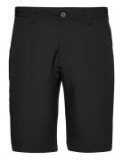 Pancras Golf Shorts Lexton Links Black