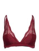 Lght Lined Triangle Calvin Klein Burgundy