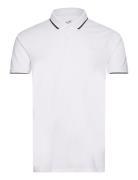 Hco. Guys Knits Hollister White