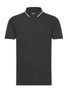 Hco. Guys Knits Hollister Black