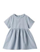 Dress S/S Elma Wheat Blue