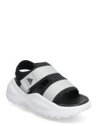 Mehana Sandal Kids Adidas Sportswear Patterned
