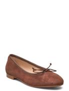 Ballerina Classic Apair Brown