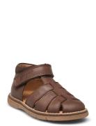 Classic™ Velcro Sandal Pom Pom Brown