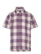 Hank Buffalo Ss Shirt Kids Les Deux Purple