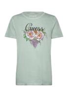 Ss Grape Vine Logo Easy Tee GUESS Jeans Green