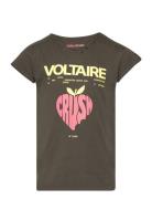 Short Sleeves Tee-Shirt Zadig & Voltaire Kids Khaki