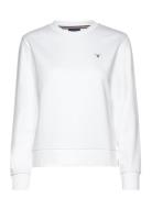 Reg Sweat GANT White