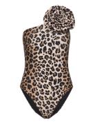 Carriecras Swimsuit Cras Brown