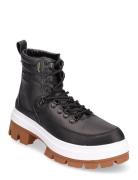 Colfax Elevate Mte-2 VANS Black