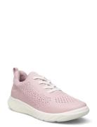 Sp1 Lite K ECCO Pink