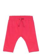 Tnsjuliana Harem Sweatpants The New Pink