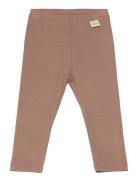 Legging Modal Petit Piao Brown