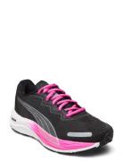 Velocity Nitro 2 Fade Wns PUMA Black