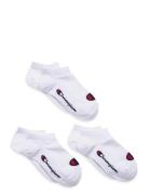 3Pk Sneaker Socks Champion White