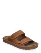 Litton Strap G Clarks Brown