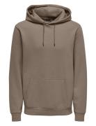 Onsceres Hoodie Sweat Noos ONLY & SONS Brown