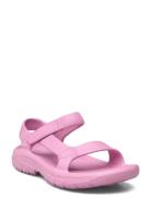 Hurricane Drift Teva Pink