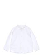 Oxford Cotton Shirt Mango White