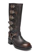 Battle Boot Steve Madden Brown