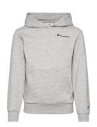 Hooded Sweatshirt Champion Grey