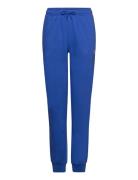 Rib Cuff Pants Champion Blue