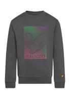 Dotted Eagle Graphic Sweatshirt Lyle & Scott Grey