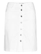 Sc-Erna Soyaconcept White