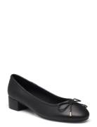 Cherish Ballerina Steve Madden Black